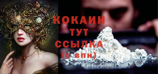 COCAINE Богородицк