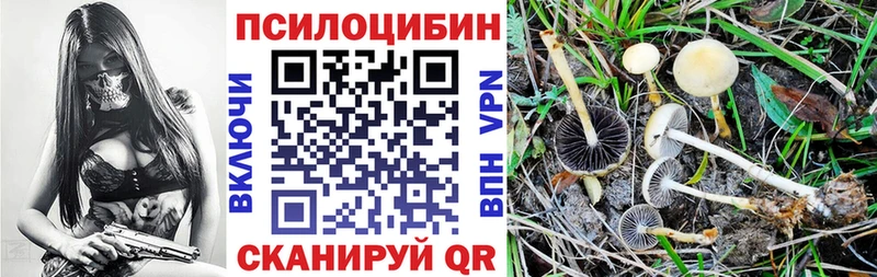 Псилоцибиновые грибы Psilocybine cubensis  Светлый 